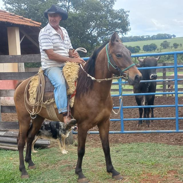 José Luiz Fardin José Luiz Fardin