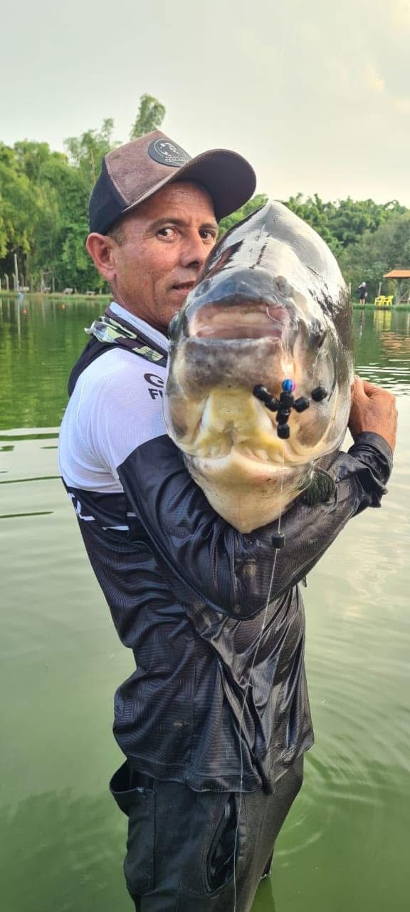 Marcio Fernando Bueno Da Silva