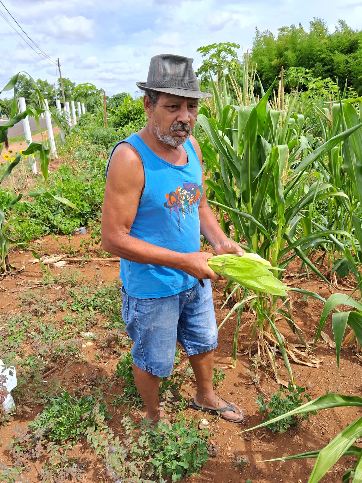 LUIZ CARLOS FERREIRA DOS SANTOS LUIZ CARLOS FERREIRA DOS SANTOS