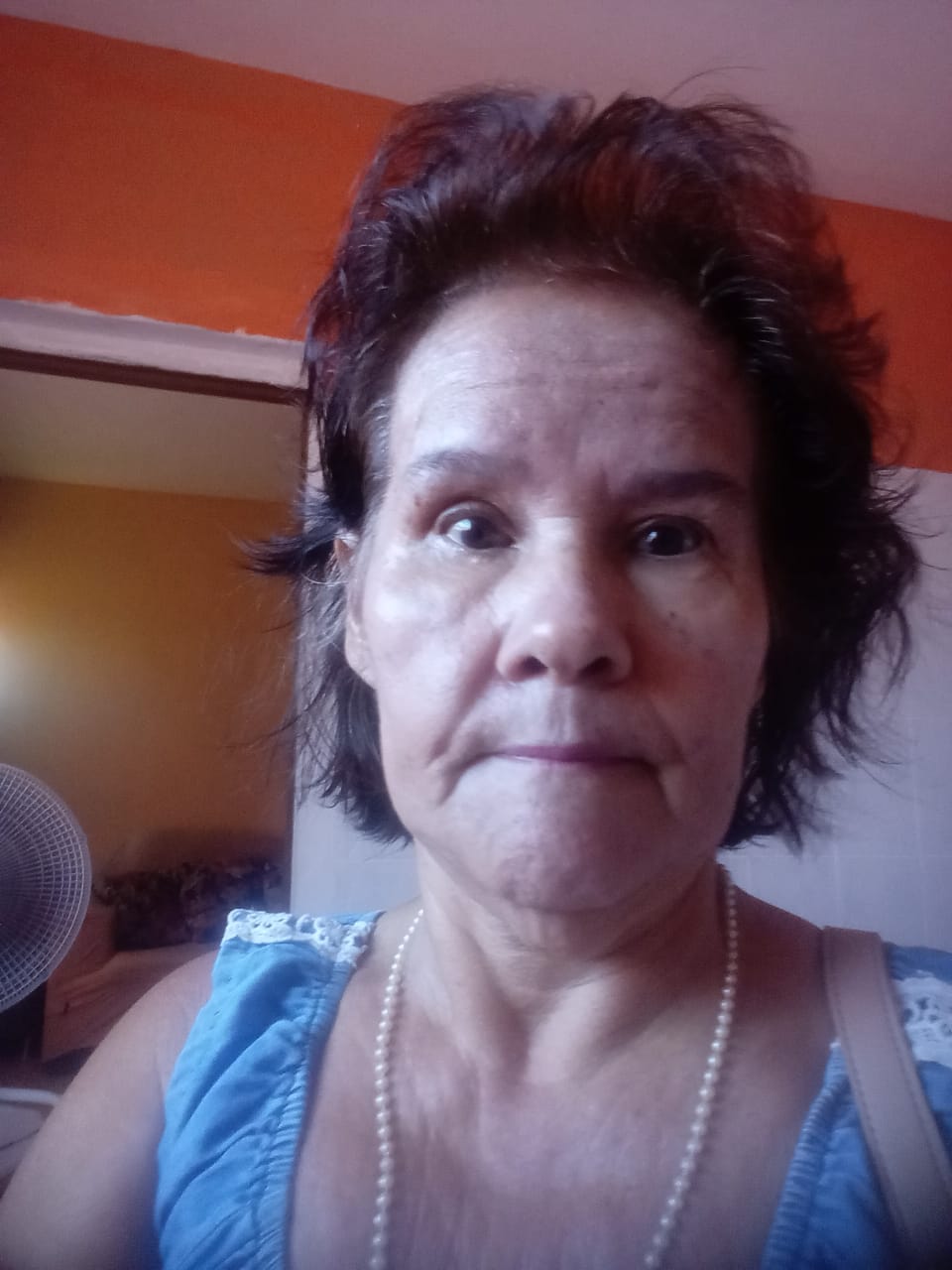 Maria Aparecida Brandão Pereira Maria Aparecida Brandão Pereira